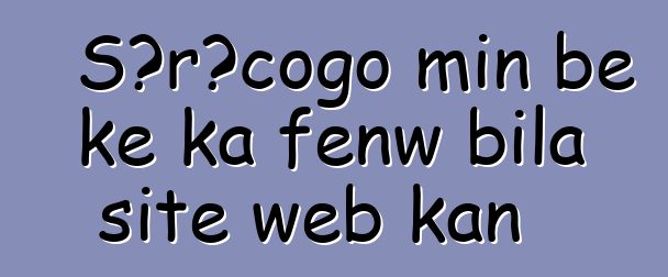 Sɔrɔcogo min bɛ kɛ ka fɛnw bila site web kan