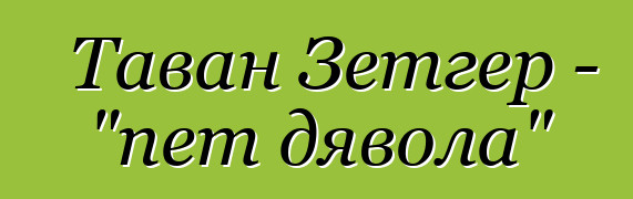 Таван Зетгер - "пет дявола"