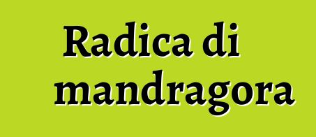 Radica di mandragora