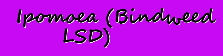 Ipomoea (Bindweed LSD)