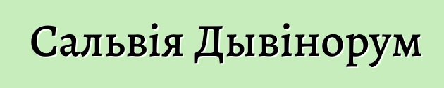 Сальвія Дывінорум