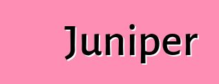 Juniper