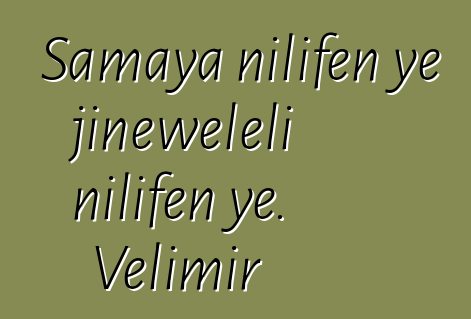 Samaya nilifɛn ye jinɛweleli nilifɛn ye. Velimir