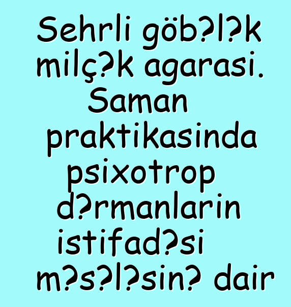 Sehrli göbələk milçək ağarası. Şaman praktikasında psixotrop dərmanların istifadəsi məsələsinə dair