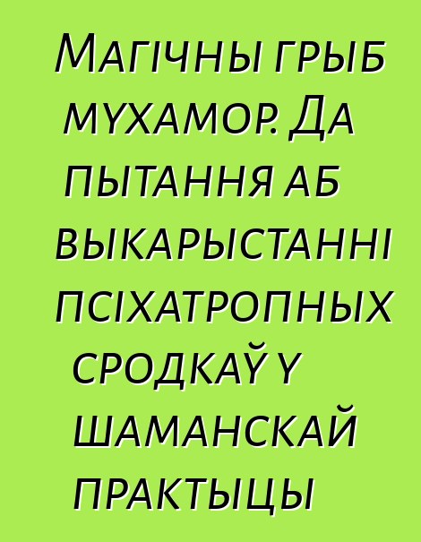 Магічны грыб мухамор. Да пытання аб выкарыстанні псіхатропных сродкаў у шаманскай практыцы