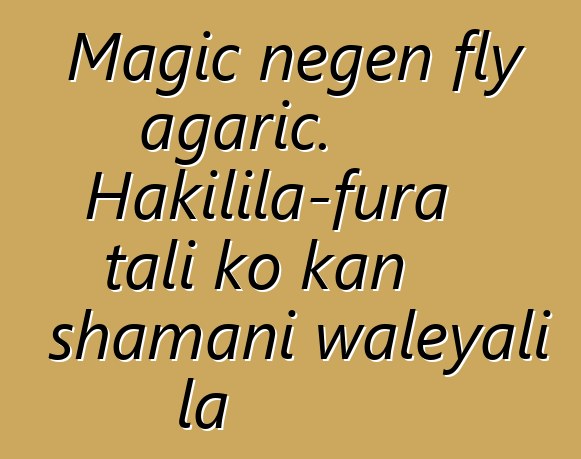 Magic ɲɛgɛn fly agaric. Hakilila-fura tali ko kan shamani waleyali la