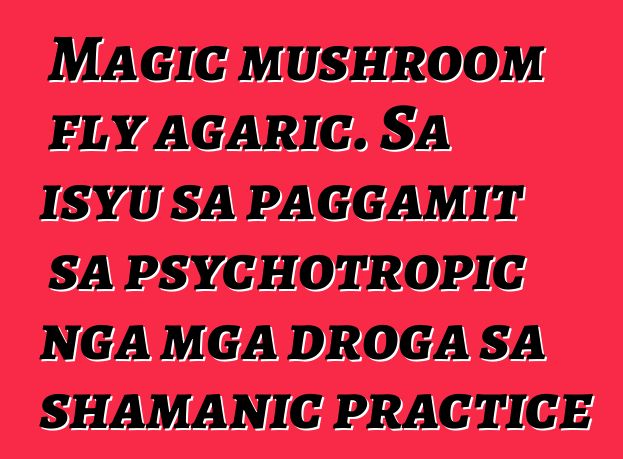 Magic mushroom fly agaric. Sa isyu sa paggamit sa psychotropic nga mga droga sa shamanic practice