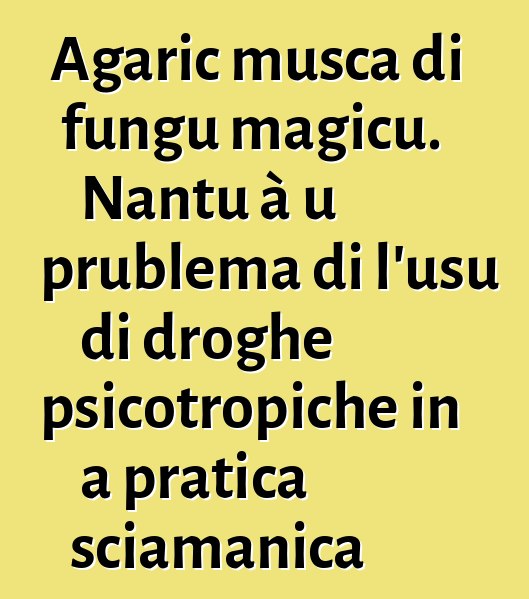 Agaric musca di fungu magicu. Nantu à u prublema di l'usu di droghe psicotropiche in a pratica sciamanica