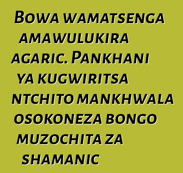 Bowa wamatsenga amawulukira agaric. Pankhani ya kugwiritsa ntchito mankhwala osokoneza bongo muzochita za shamanic