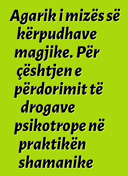 Agarik i mizës së kërpudhave magjike. Për çështjen e përdorimit të drogave psikotrope në praktikën shamanike