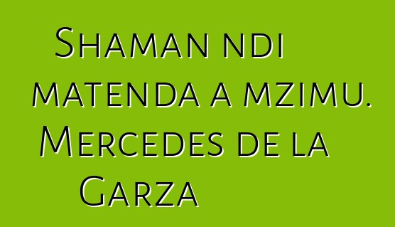 Shaman ndi matenda a mzimu. Mercedes de la Garza