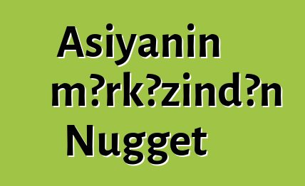 Asiyanın mərkəzindən Nugget