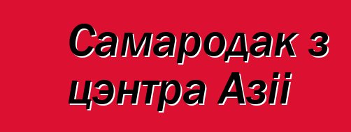 Самародак з цэнтра Азіі