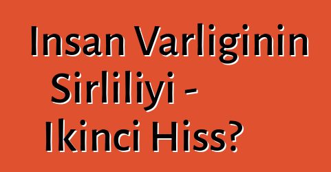 İnsan Varlığının Sirliliyi - İkinci Hissə