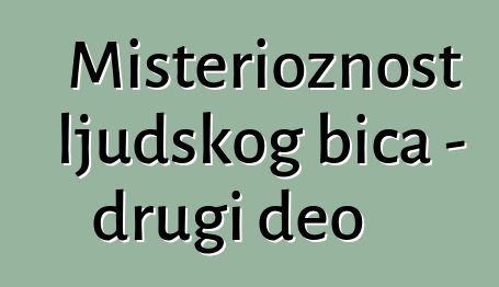 Misterioznost ljudskog bića - drugi deo