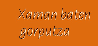 Xaman baten gorputza