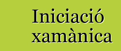 Iniciació xamànica