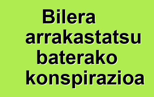 Bilera arrakastatsu baterako konspirazioa