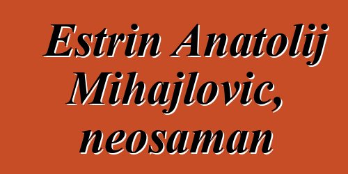 Estrin Anatolij Mihajlovič, neošaman