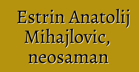 Estrin Anatolij Mihajlovič, neošaman