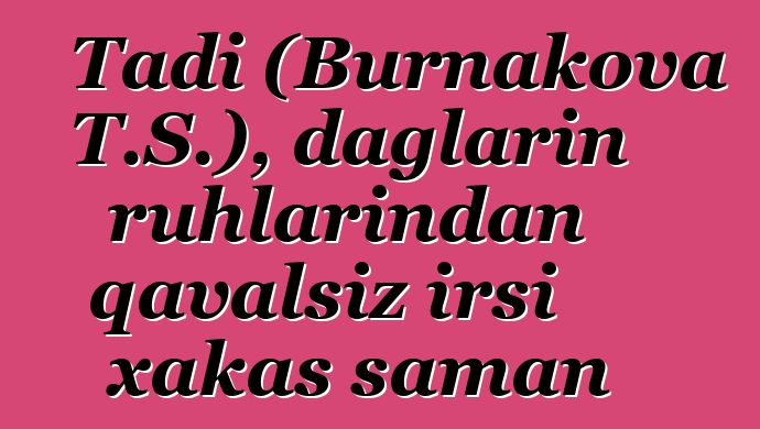 Tadi (Burnakova T.S.), dağların ruhlarından qavalsız irsi xakas şaman