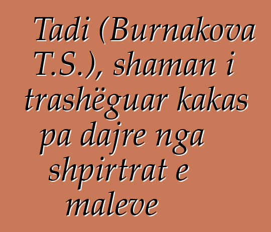 Tadi (Burnakova T.S.), shaman i trashëguar kakas pa dajre nga shpirtrat e maleve