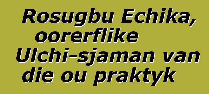 Rosugbu Echika, oorerflike Ulchi-sjaman van die ou praktyk