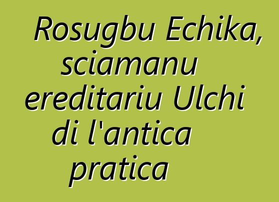 Rosugbu Echika, sciamanu ereditariu Ulchi di l'antica pratica