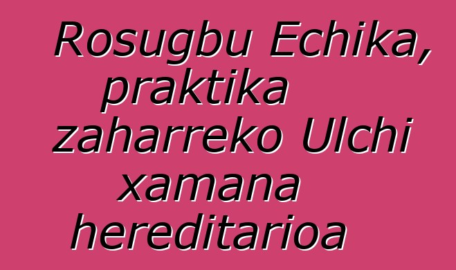 Rosugbu Echika, praktika zaharreko Ulchi xamana hereditarioa