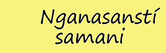 Nganasanští šamani