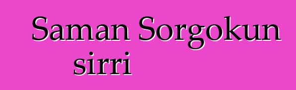 Şaman Sorgokun sirri