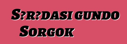 Sɔrɔdasi gundo Sorgok