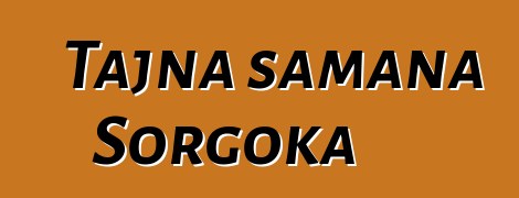 Tajna šamana Sorgoka