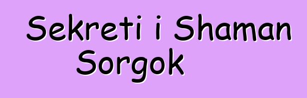 Sekreti i Shaman Sorgok