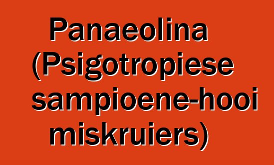 Panaeolina (Psigotropiese sampioene-hooi miskruiers)