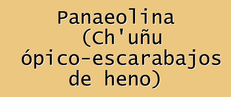 Panaeolina (Ch’uñu psicotrópico-escarabajos de heno)