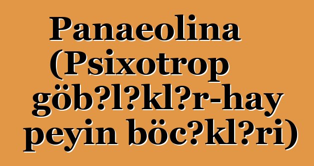 Panaeolina (Psixotrop göbələklər-hay peyin böcəkləri)