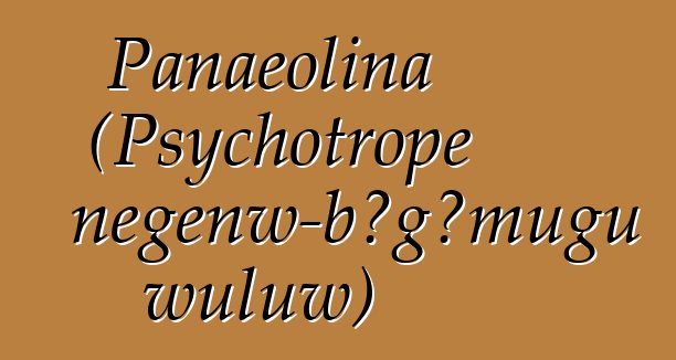 Panaeolina (Psychotrope ɲɛgɛnw-bɔgɔmugu wuluw)