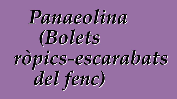 Panaeolina (Bolets psicotròpics-escarabats del fenc)