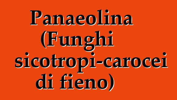 Panaeolina (Funghi psicotropi-carocei di fieno)