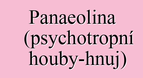 Panaeolina (psychotropní houby-hnůj)