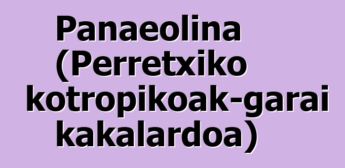 Panaeolina (Perretxiko psikotropikoak-garai kakalardoa)