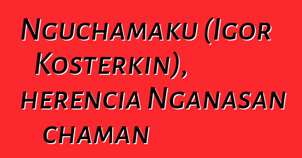 Nguchamaku (Igor Kosterkin), herencia Nganasan chaman