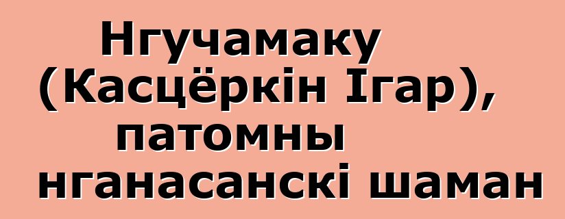 Нгучамаку (Касцёркін Ігар), патомны нганасанскі шаман