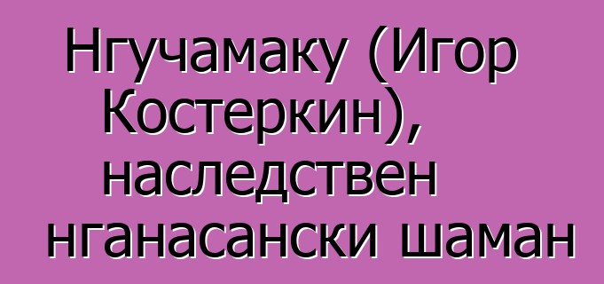 Нгучамаку (Игор Костеркин), наследствен нганасански шаман