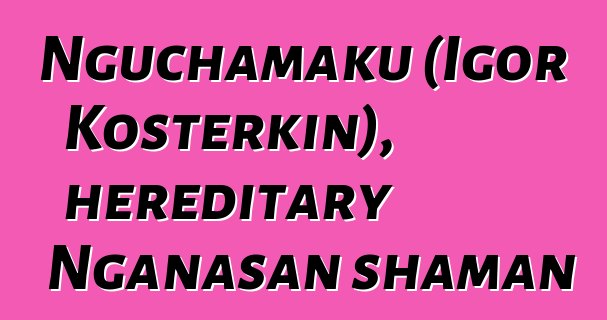 Nguchamaku (Igor Kosterkin), hereditary Nganasan shaman