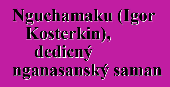 Nguchamaku (Igor Kosterkin), dědičný nganasanský šaman