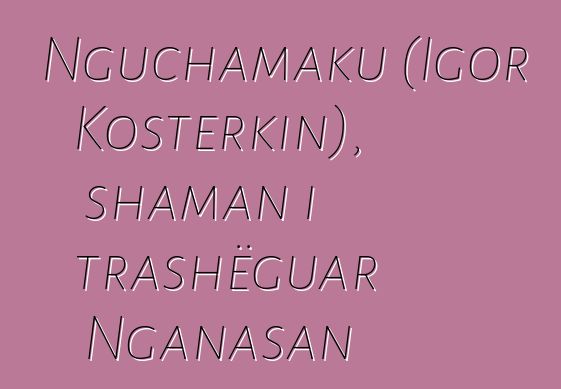 Nguchamaku (Igor Kosterkin), shaman i trashëguar Nganasan