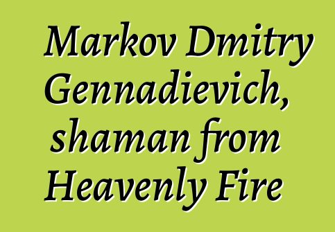 Markov Dmitry Gennadievich, shaman from Heavenly Fire