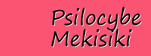 Psilocybe Mɛkisiki